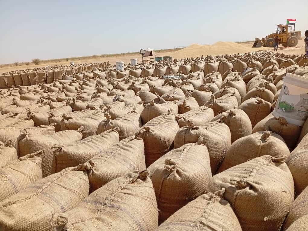 القطاع الزراعي